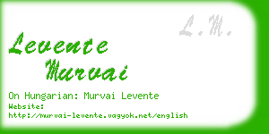 levente murvai business card